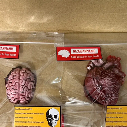 Handmade Halloween Realistic Bleeding Heart & Brain Silicone Stress Relief Toy Heart & Brain
