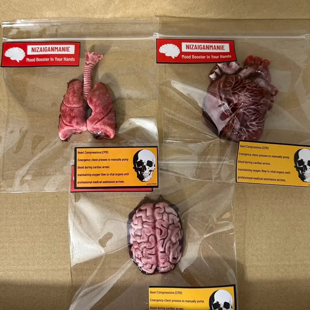 Handmade Halloween Realistic Bleeding Heart & Brain Silicone Stress Relief Toy Heart, Lung & Brain