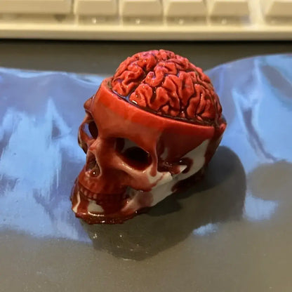 Handmade Halloween Realistic Bleeding Heart & Brain Silicone Stress Relief Toy Large Exposed Brain Skull