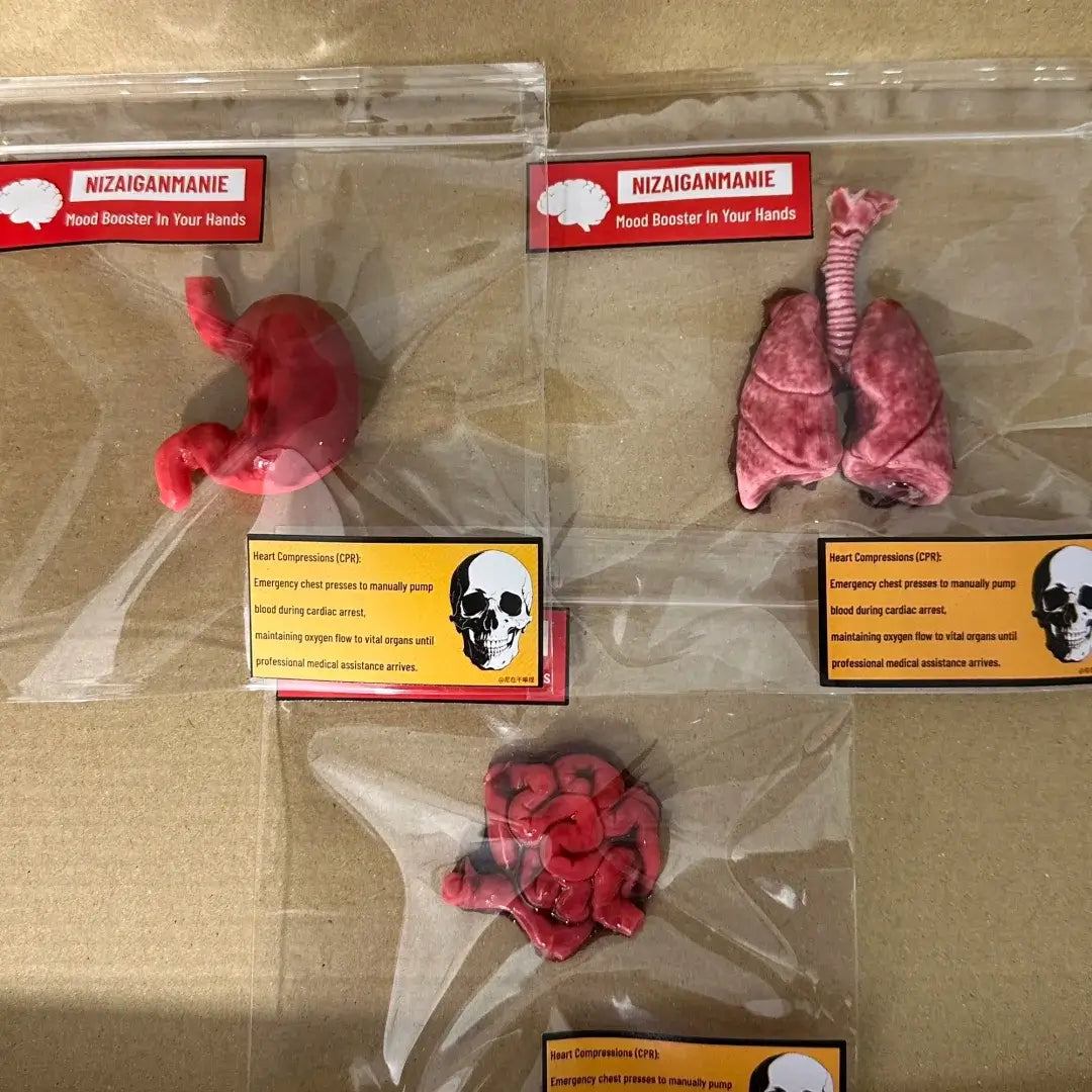 Handmade Halloween Realistic Bleeding Heart & Brain Silicone Stress Relief Toy Lung, Stomach & Small Intestine
