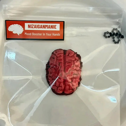 Handmade Halloween Realistic Bleeding Heart & Brain Silicone Stress Relief Toy Silicone Brain Squishy